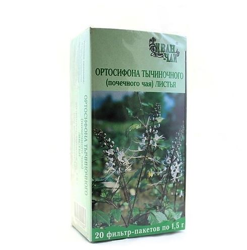 Ортосифон тычиночный (почечный чай) листья ф/п 1,5г №20 иван чай крупнолистовой 50 г в п п пакете